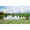 Biggies Scenes Window Well Scenes-Mountain Flowers, 80 in wide x 40 in high BG-WW-MFW-80 - alternate 1